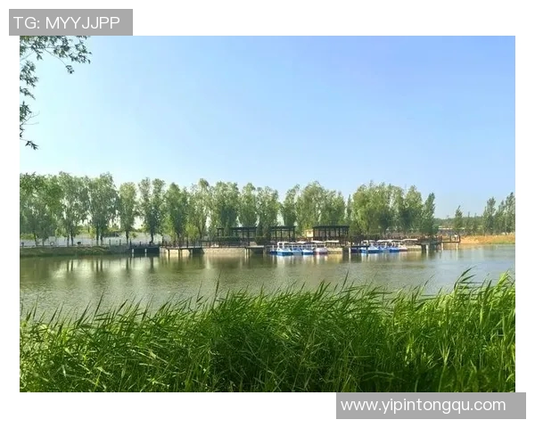 在阳光下畅享自然之美让开心户外带你探索无限乐趣与放松体验 在阳光下畅享自然之美让开心户外带你探索无限乐趣与放松体验