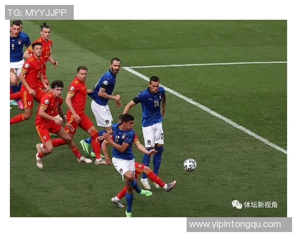 欧洲杯激战瑞典对决法国谁能在绿茵场上笑傲群雄