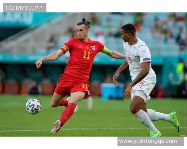 威尔士与芬兰比赛分析及推荐策略分享